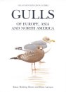 Gulls of Europe,Asia and North America